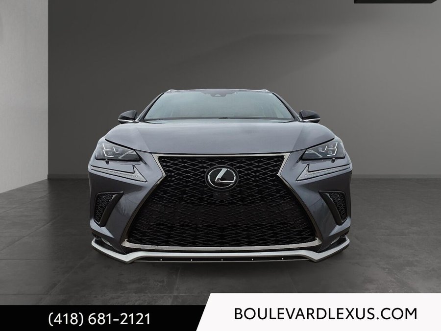 Lexus NX 2020 2020 Gris