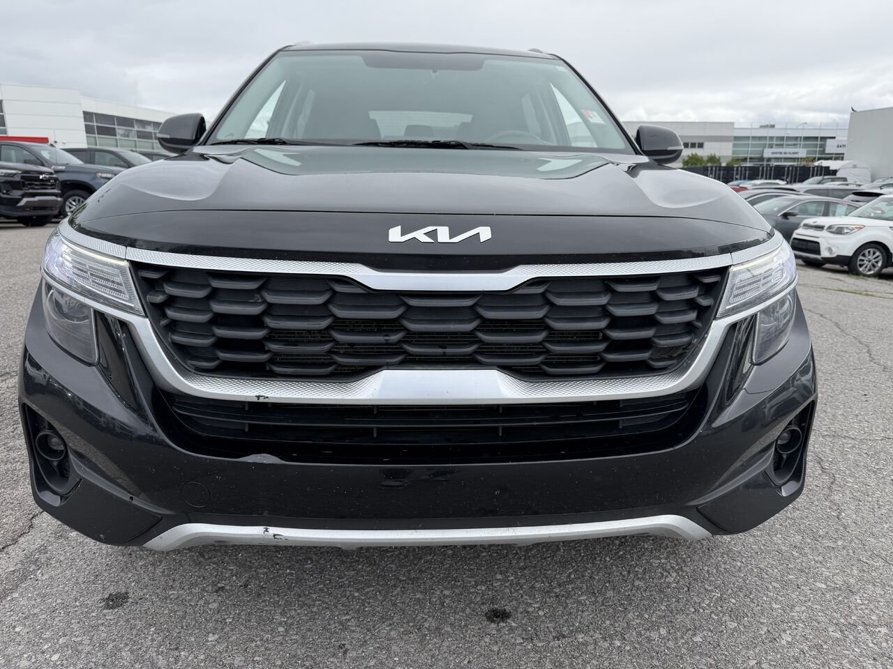 KIA SELTOS LX LX TA 2023 Noir Gatineau - photo #15