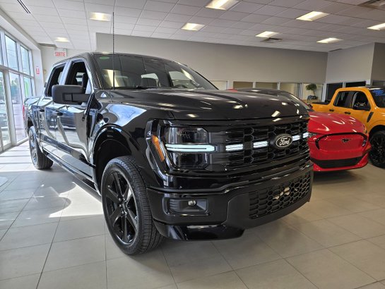2026 Ford F-150 F-150 Agate Black Metallic
