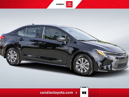 2023 Toyota Corolla 2023 Black