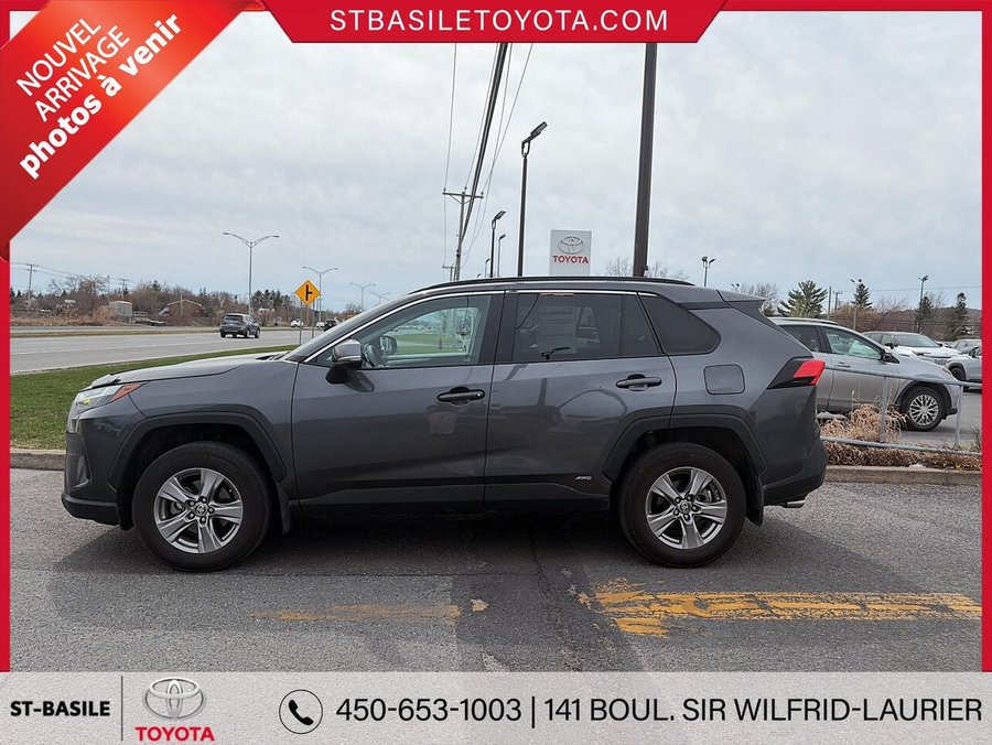 Toyota RAV4 2023 2023 Gris