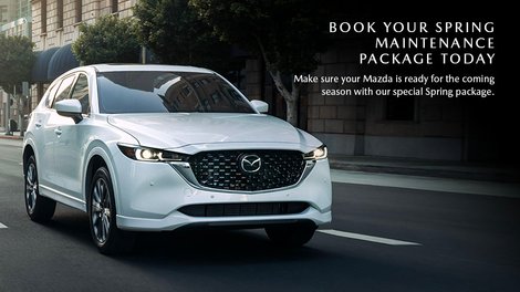 Spring Maintenance Package