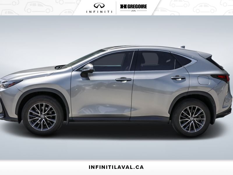 2024 Lexus NX 2024