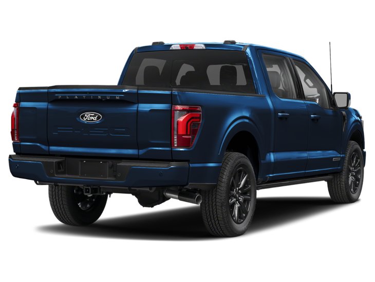 2025 Ford F-150 Platine