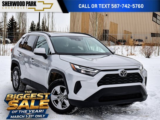 2024 Toyota RAV4 2024 Grey