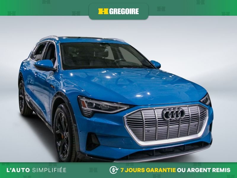Audi e-tron 2019 2019 Bleu