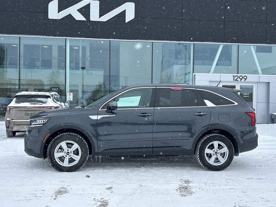 2023 Kia Sorento 2023 Grey