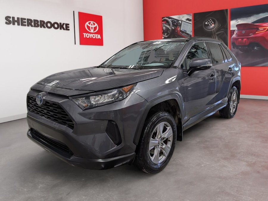 Toyota RAV4 Hybride 2023 2023 Gris