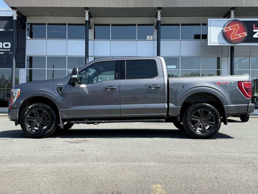 Ford F-150 302A FX4 2021 2021 Gris