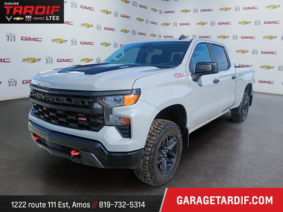 CHEVROLET Silverado 1500 2024 2024 Gris