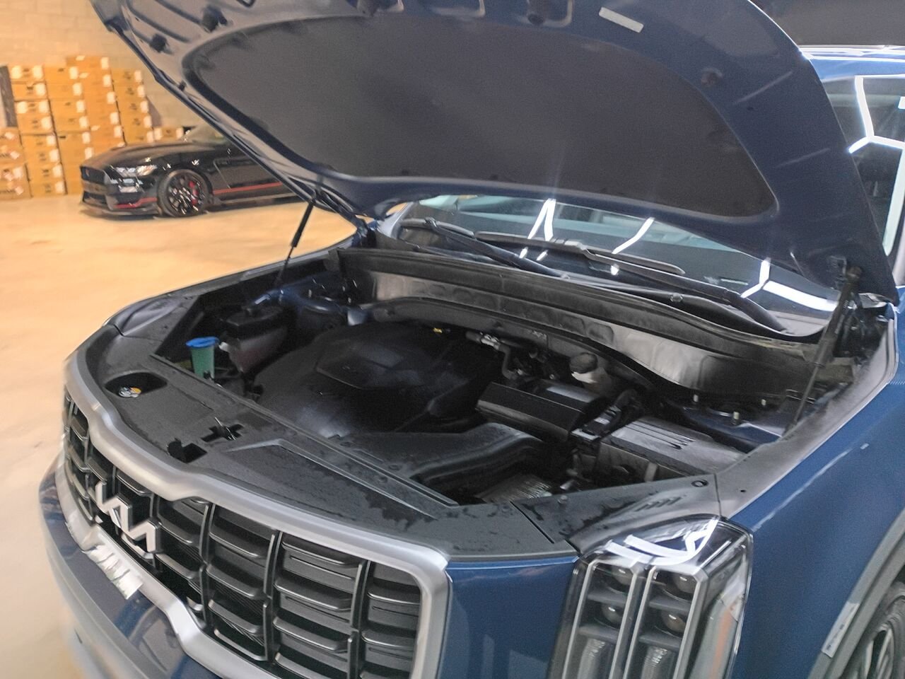 Kia Telluride 2023 Bleu Blainville - photo #37