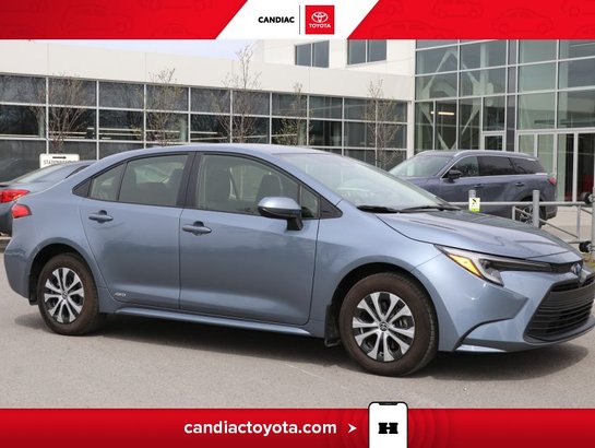 Toyota Corolla 2025 2025 Bleu