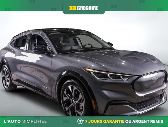 2021 Ford Mustang Mach-E 2021 Grey