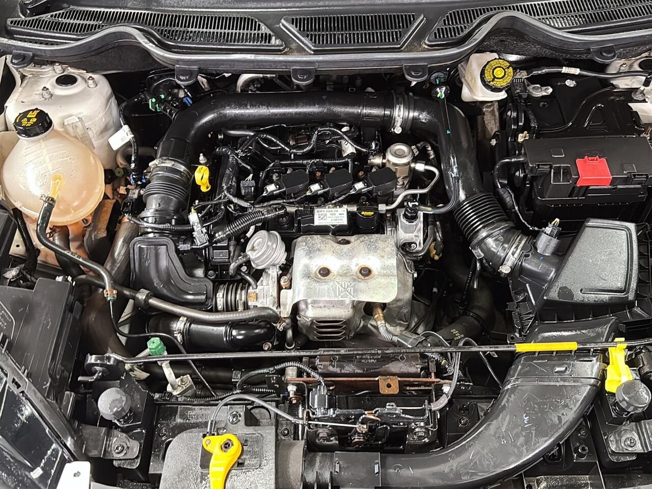 2020 Ford EcoSport SE TA White Saint-Hyacinthe - photo #7