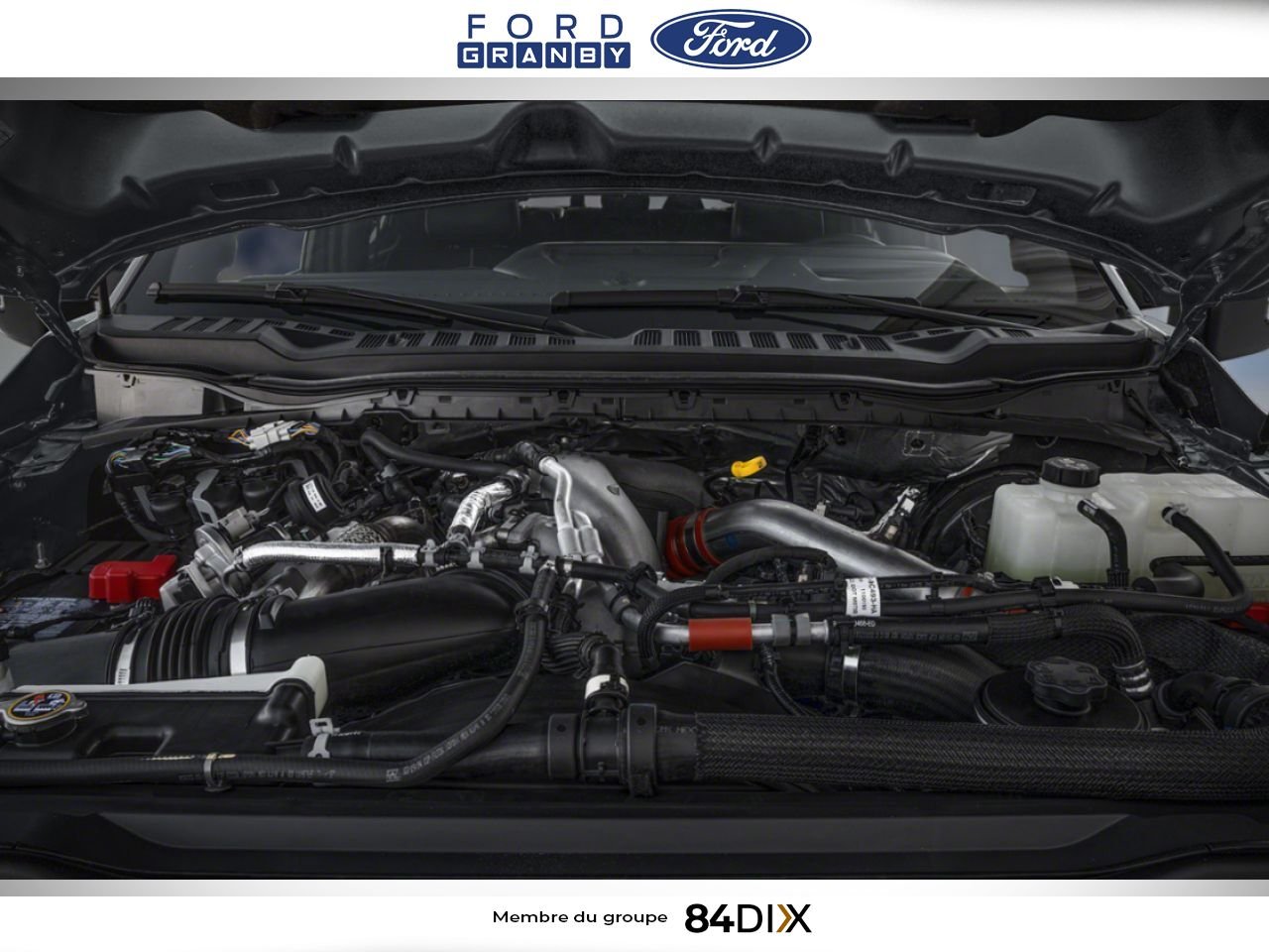 Ford SUPER DUTY F-250 SRW 2026 Blanc Granby - photo #10