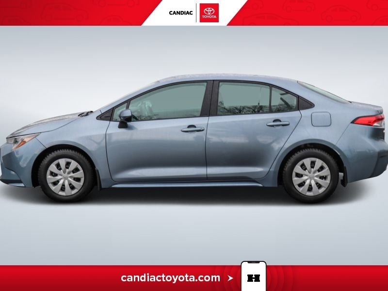 Toyota Corolla 2021 2021 Bleu