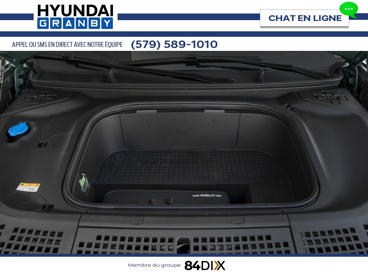 2026 HYUNDAI IONIQ 9 Biophilic Blue Granby - photo #9