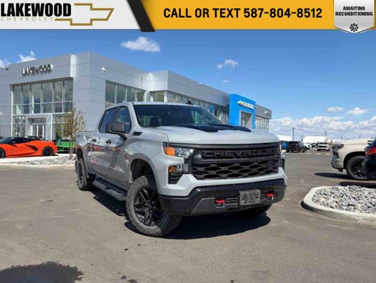 2024 Chevrolet Silverado 1500 2024 Grey