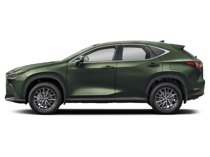 2025 Lexus NX NX 350h