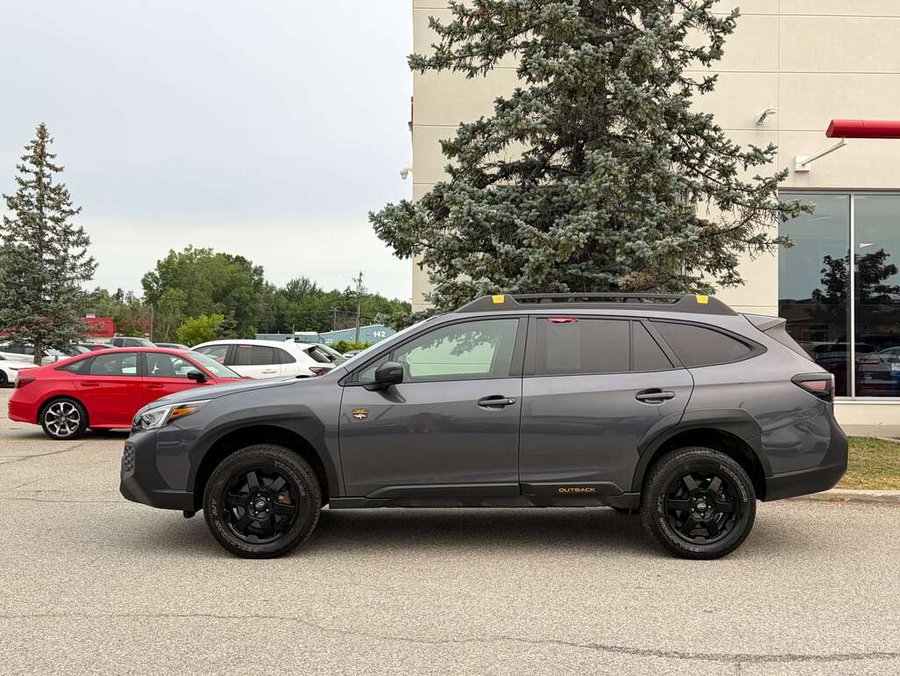 2024 Subaru Outback 2024 Grey