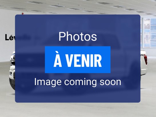 Ford F-150 2022 2022 Gris