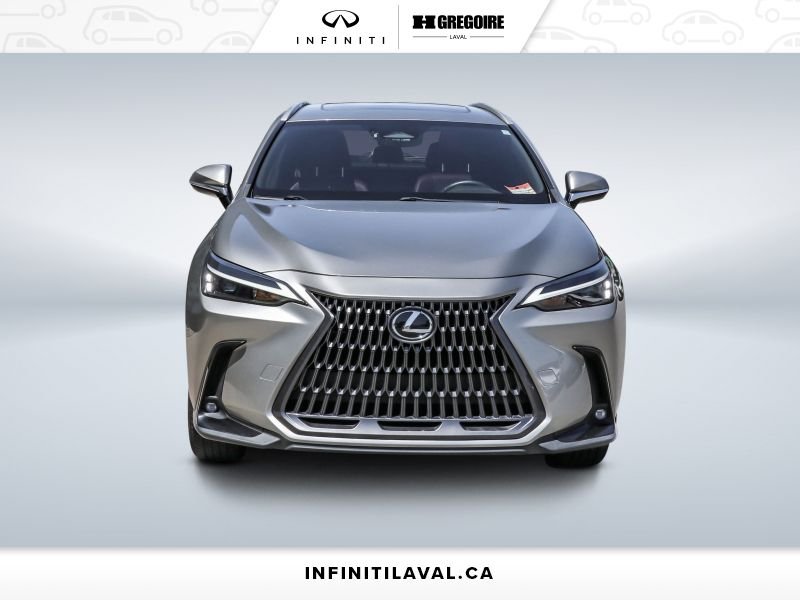 2024 Lexus NX 2024