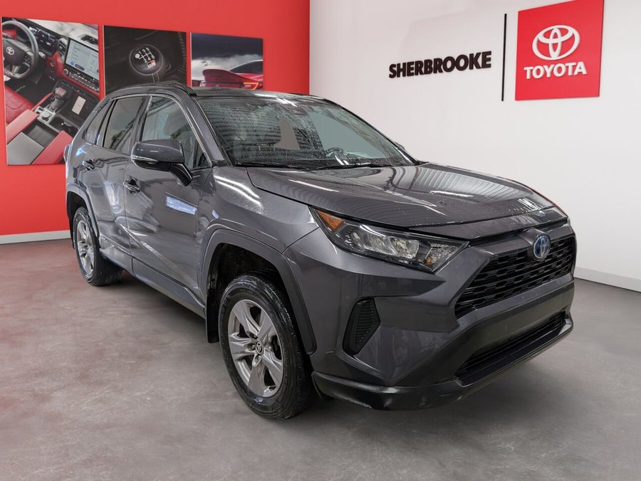 Toyota RAV4 Hybride 2023 2023 Gris