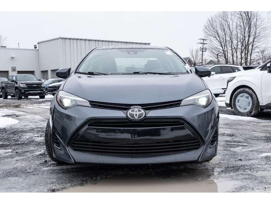 2019 Toyota Corolla 2019 Grey