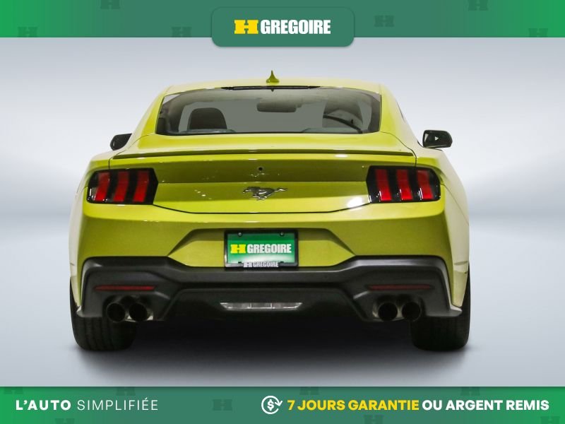 Ford Mustang 2025 Vert Laval - photo #7