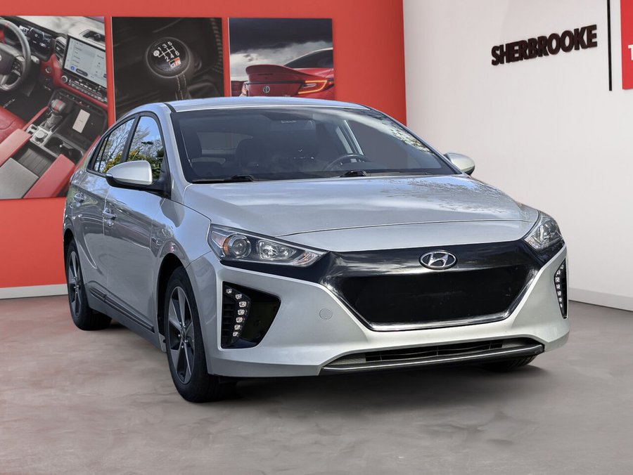 Hyundai Ioniq électrique 2017 2017 Argent