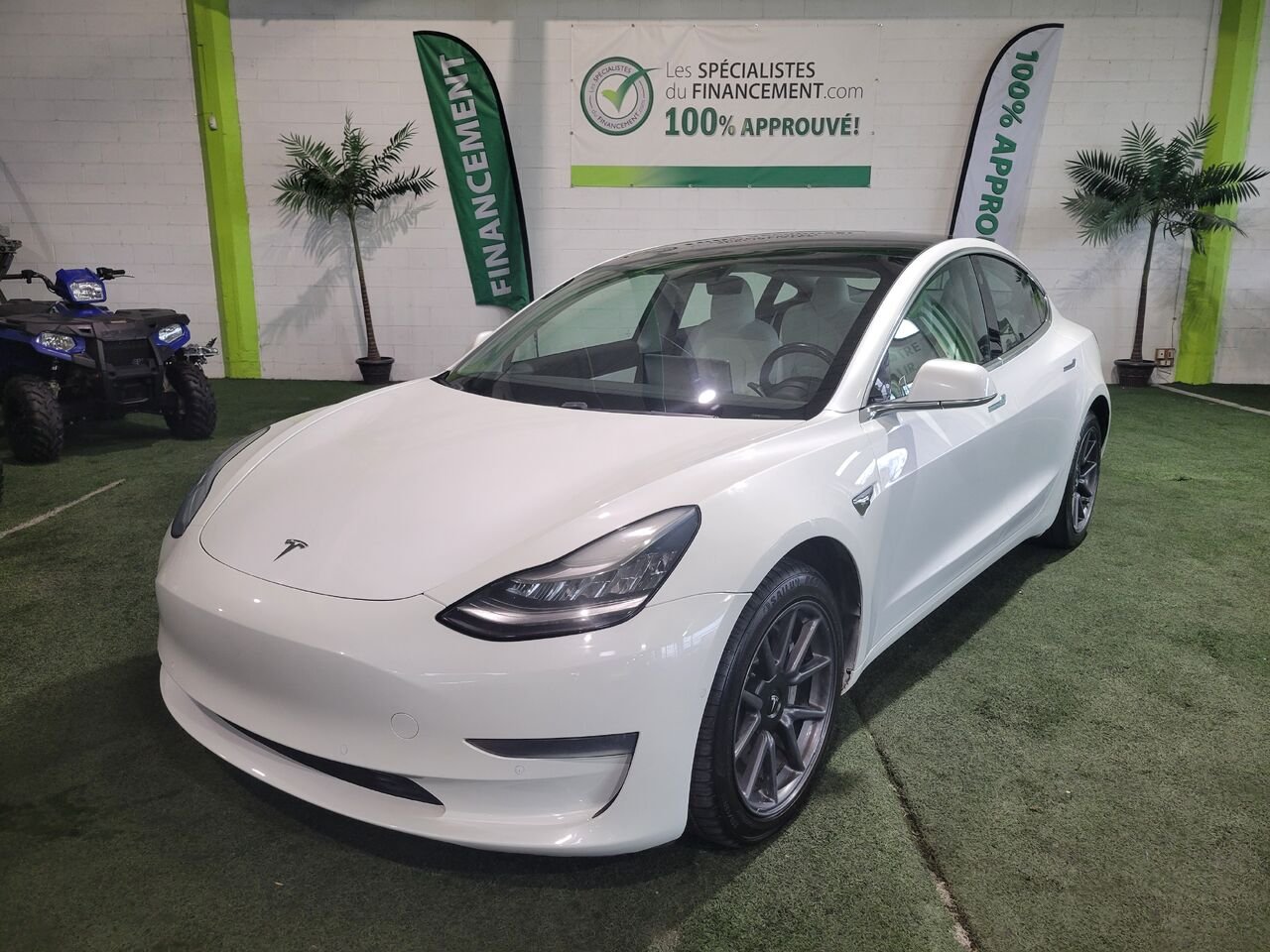 Tesla Model 3 2019 Blanc Longueuil, - photo #1