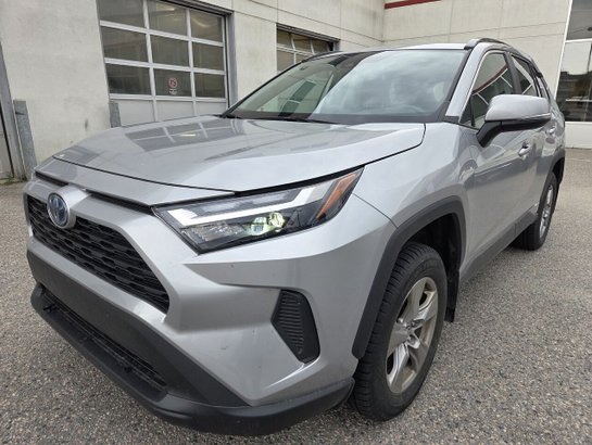 Toyota RAV4 2022 2022 Gris