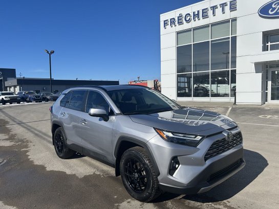 TOYOTA RAV4 LIMITED 2023 2023 Gris