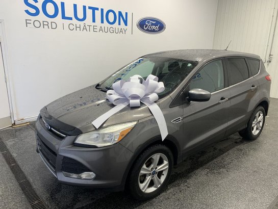 2013 Ford Escape ESCAPE SE Grey