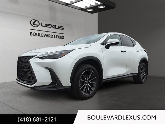 2022 Lexus NX 2022 White