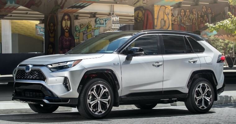 Cras blandit sodales ipsum