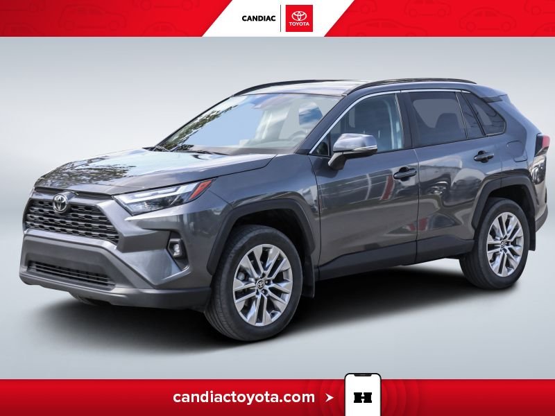 Toyota Rav 4 2024 2024 Gris