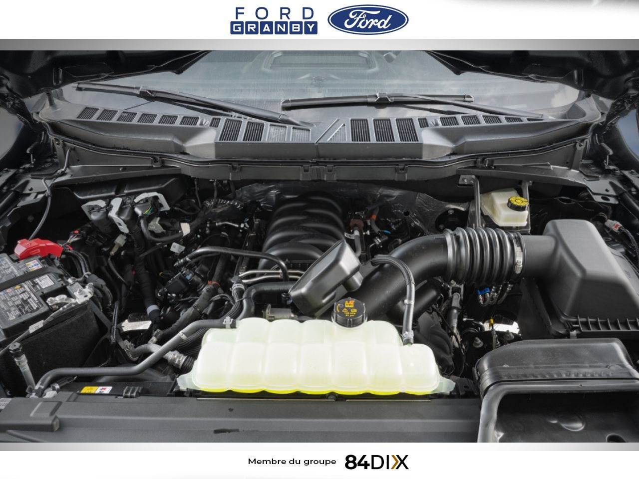 Ford F-150 2026 Blanc Oxford Granby - photo #9