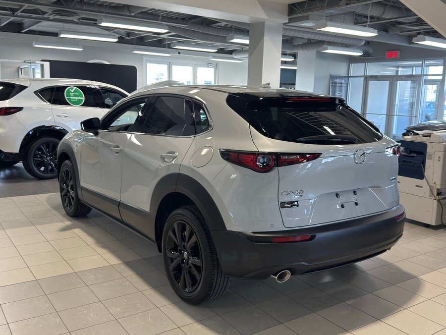 MAZDA CX-30 2025 2025 Céramique métallisé