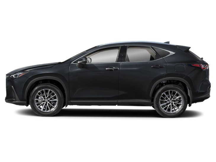 2025 Lexus NX NX 350