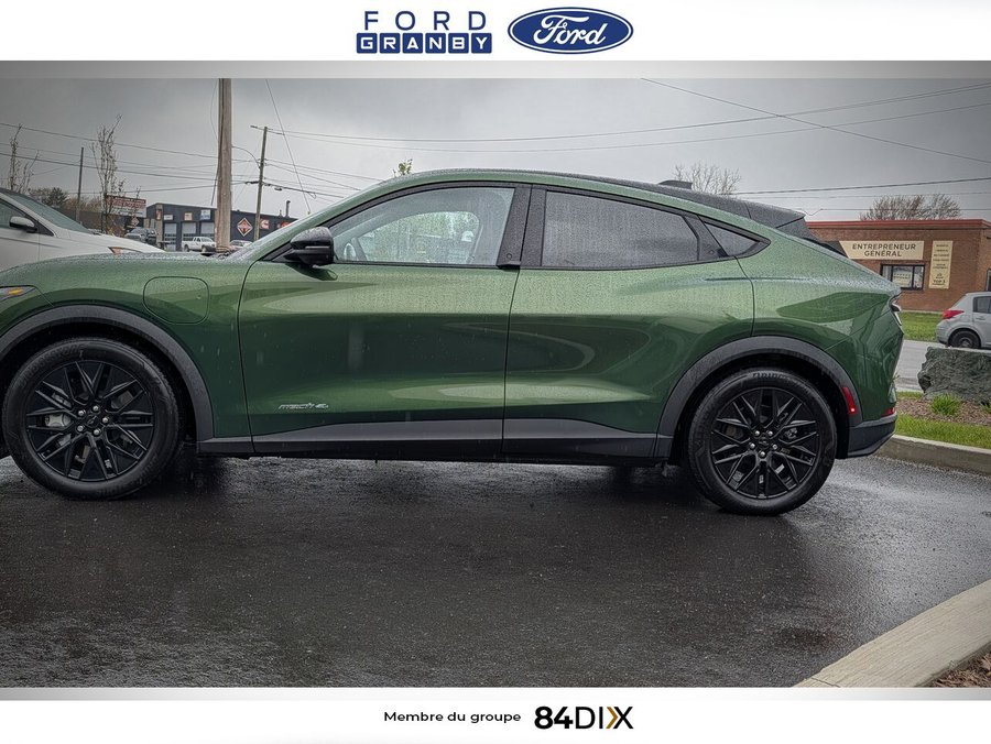 2025 Ford Mustang Mach-E Green
