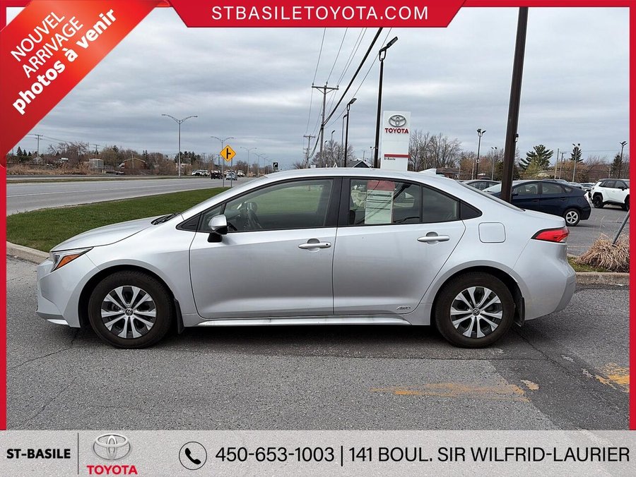 Toyota Corolla Hybride 2023 2023 Gris