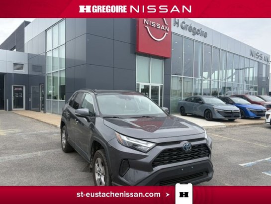 2022 Toyota Rav 4 2022 Grey
