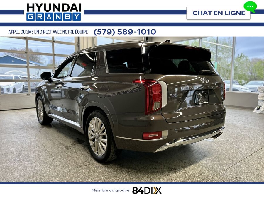 2020 Hyundai Palisade 2020 Brown