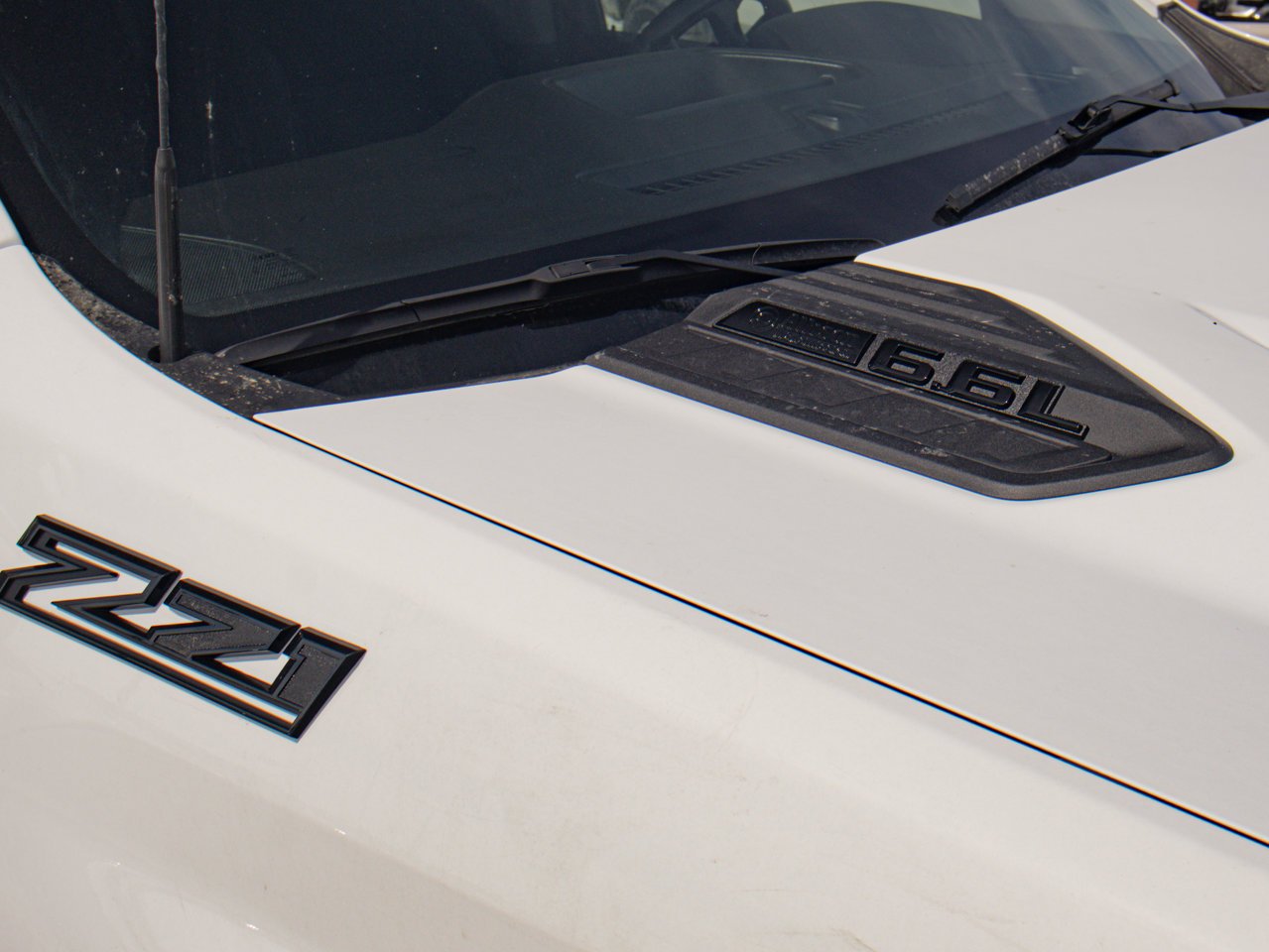 2025 Chevrolet Silverado 2500HD 4WD Crew Cab 159 Custom White Sherwood Park - photo #15
