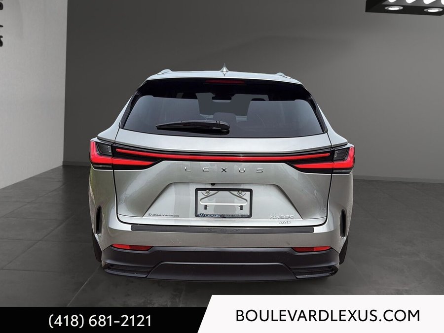Lexus NX 2023 2023 Argent