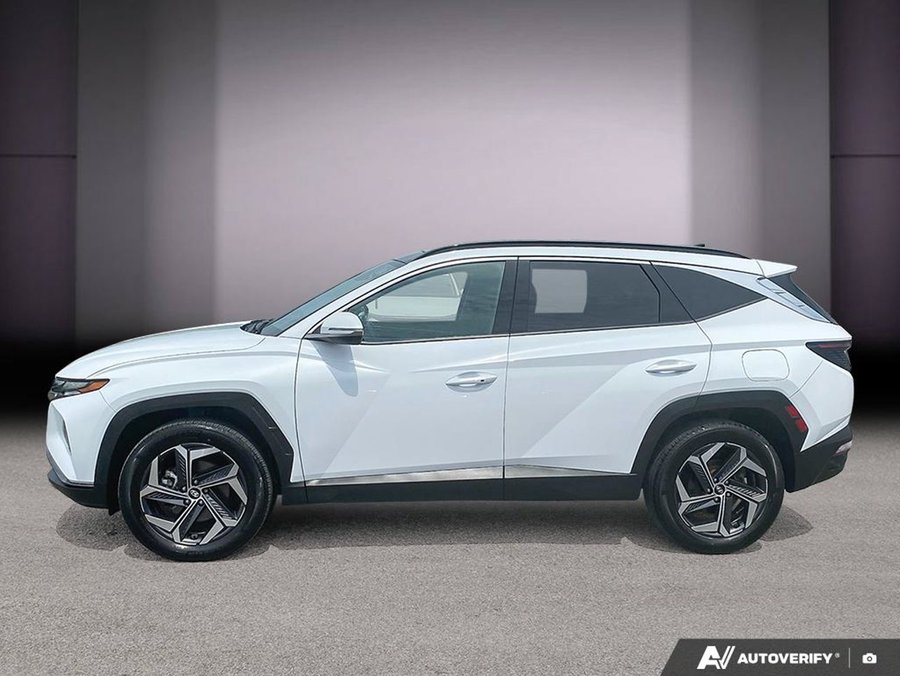 Hyundai Tucson hybride 2023 2023 Blanc