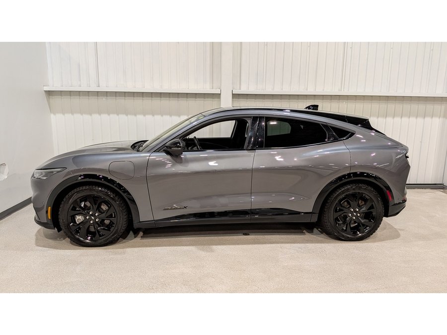 Ford Mustang Mach-E 2023 2023 Gris