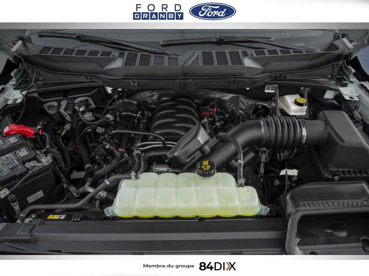 Ford F-150 2026 Blanc Granby - photo #11