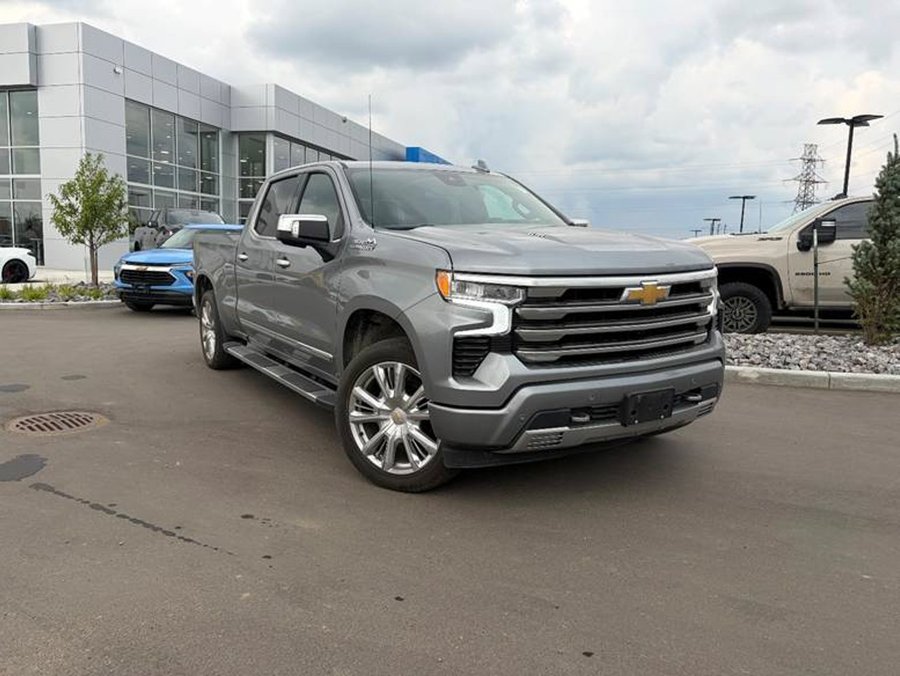 2024 Chevrolet Silverado 1500 2024 Grey